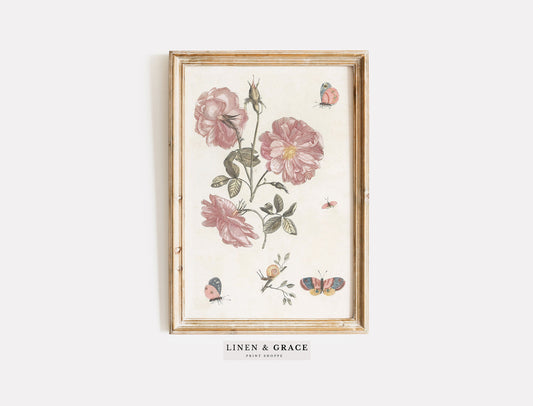 Vintage Botanical Print | Flowers and butterflies