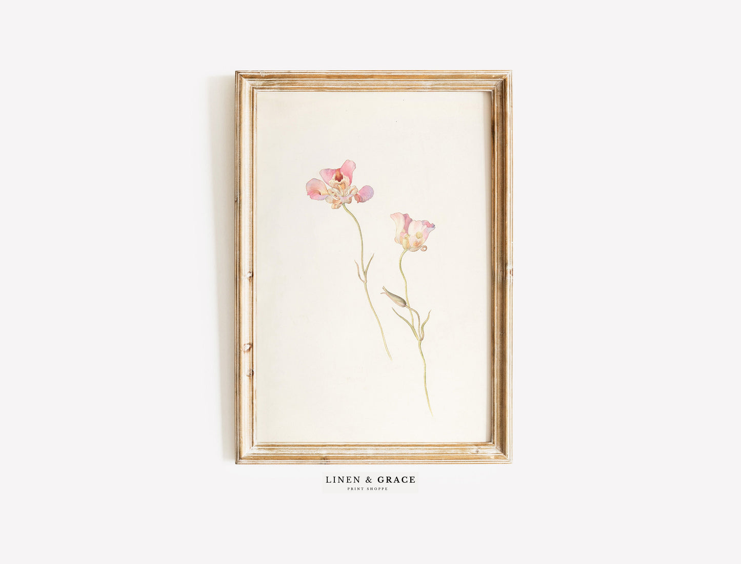 Vintage Botanical Tulips