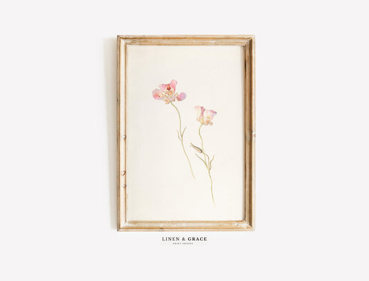 Vintage Botanical Tulips