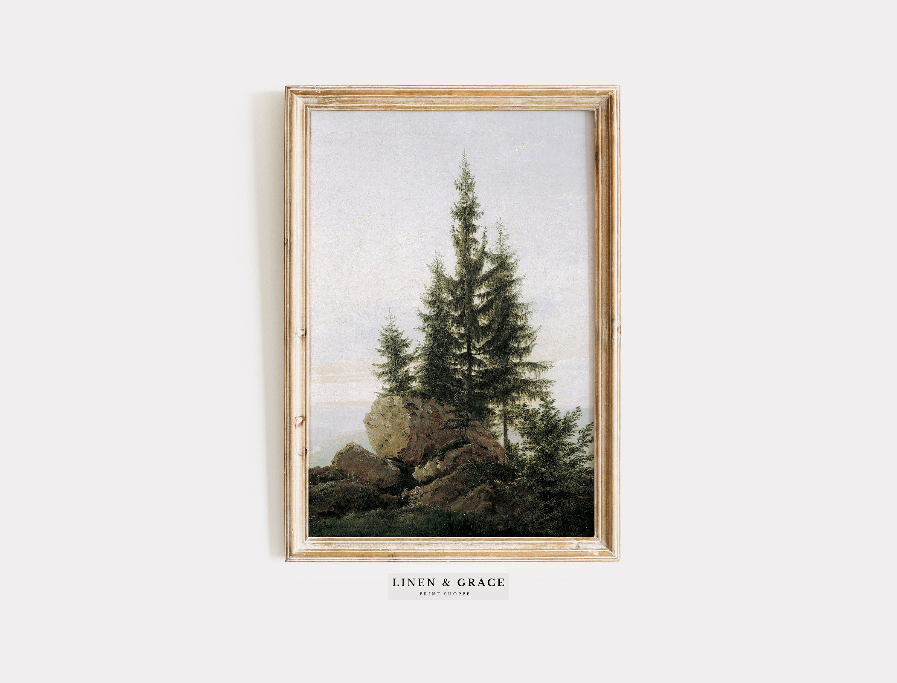 Vintage Evergreen Trees – Linen and Grace Art