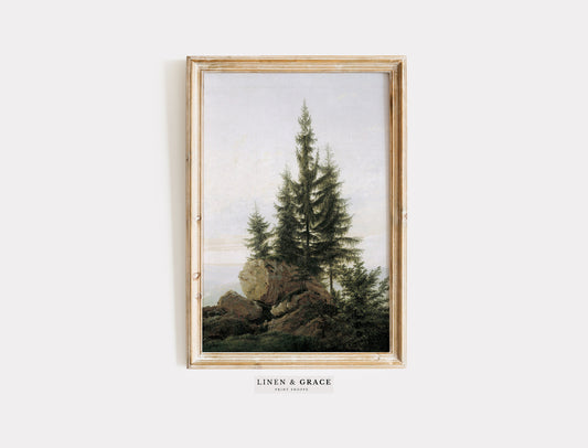 Vintage Evergreen Trees