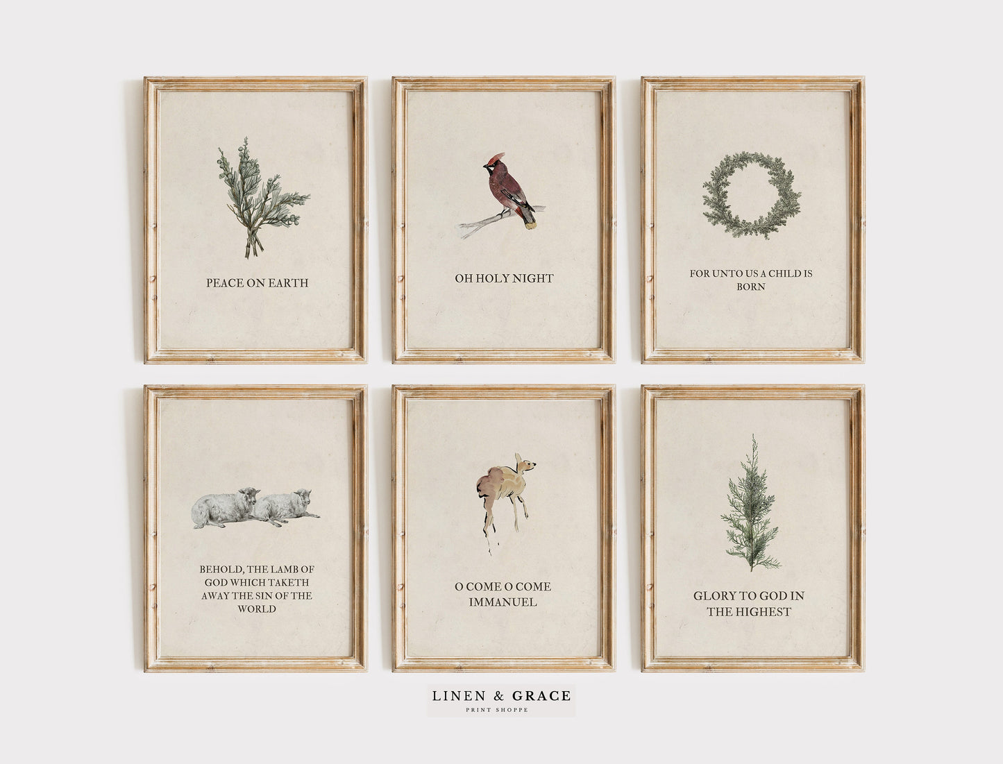 Christmas Bible Pack of Six