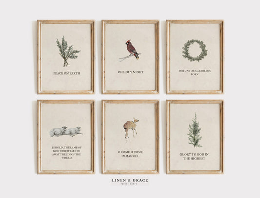 Christmas Bible Pack of Six